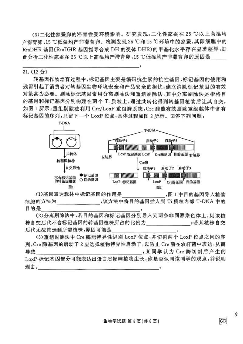 广东省衡水金卷2025届高三3月大联考生物+答案_2025年3月_250322广东省衡水金卷2025届高三3月大联考