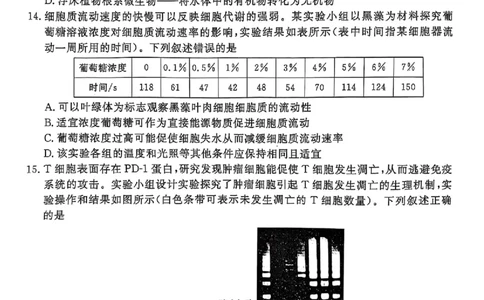 广东省衡水金卷2025届高三3月大联考生物+答案_2025年3月_250322广东省衡水金卷2025届高三3月大联考
