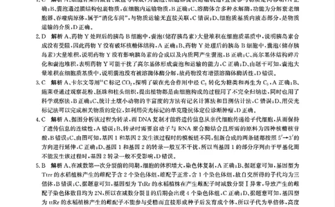 扫描件_生物参考答案_2025年5月_2505212025届河北省邯郸市高三保温考试试题（全科）_2025届河北省邯郸市高三保温考试生物试题