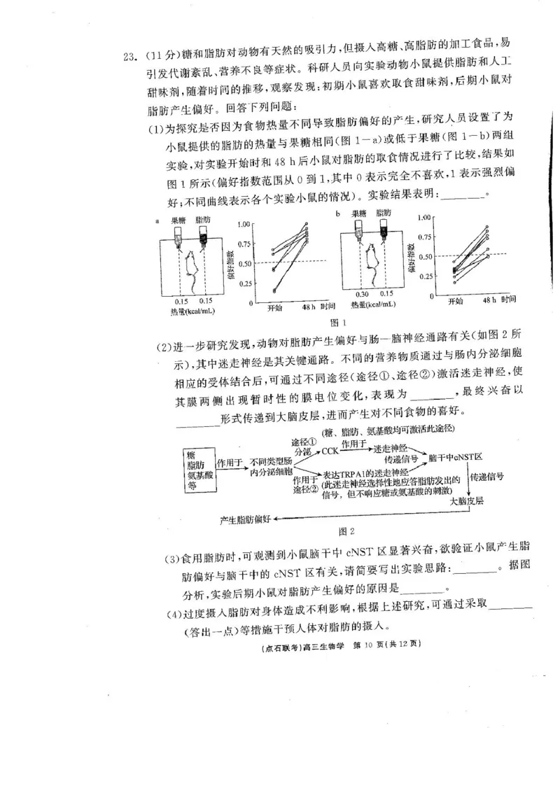 辽宁省点石联考2025届高三年级3月份联合考试生物试题（含答案）_2025年3月_250304辽宁省点石联考2025届高三年级3月份联合考试