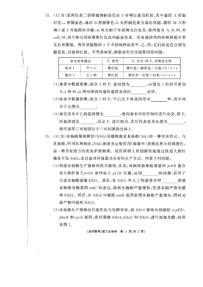 辽宁省点石联考2025届高三年级3月份联合考试生物试题（含答案）_2025年3月_250304辽宁省点石联考2025届高三年级3月份联合考试
