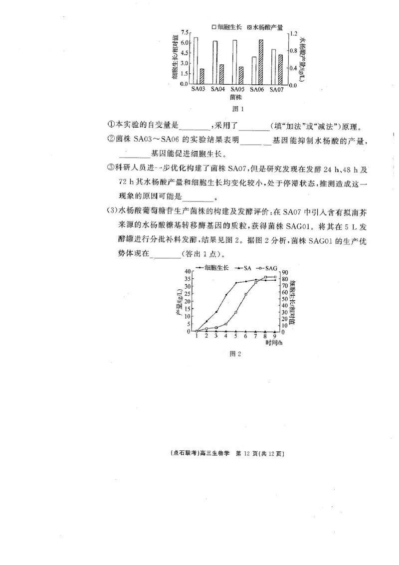 辽宁省点石联考2025届高三年级3月份联合考试生物试题（含答案）_2025年3月_250304辽宁省点石联考2025届高三年级3月份联合考试