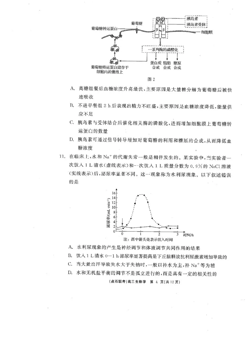 辽宁省点石联考2025届高三年级3月份联合考试生物试题（含答案）_2025年3月_250304辽宁省点石联考2025届高三年级3月份联合考试