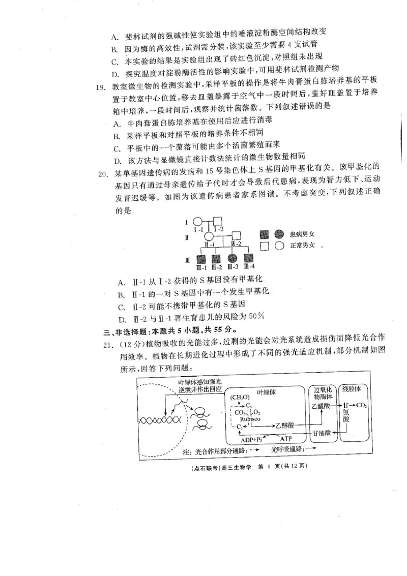 辽宁省点石联考2025届高三年级3月份联合考试生物试题（含答案）_2025年3月_250304辽宁省点石联考2025届高三年级3月份联合考试