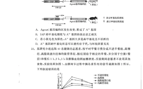 辽宁省点石联考2025届高三年级3月份联合考试生物试题（含答案）_2025年3月_250304辽宁省点石联考2025届高三年级3月份联合考试