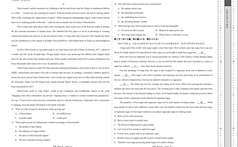 高二英语期中模拟卷01（考试版A3）（新高考通用）(1)_1多考区联考_1014高二期中模拟卷（新高考通用）黄金卷：2024-2025学年高二上学期期中模拟考试