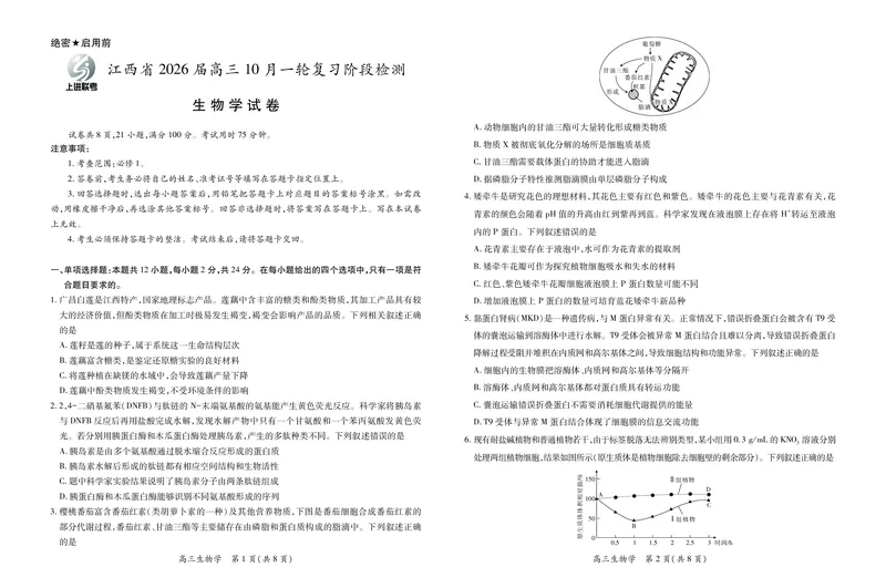 江西省2026届高三10月一轮复习阶段检测生物_2025年10月_251015上进联考&middot;江西省2026届高三10月一轮复习阶段检测（全科）