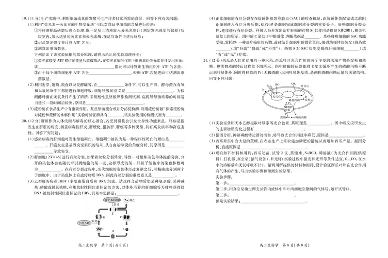 江西省2026届高三10月一轮复习阶段检测生物_2025年10月_251015上进联考&middot;江西省2026届高三10月一轮复习阶段检测（全科）