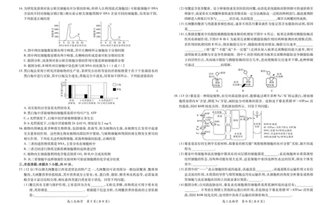 江西省2026届高三10月一轮复习阶段检测生物_2025年10月_251015上进联考&middot;江西省2026届高三10月一轮复习阶段检测（全科）