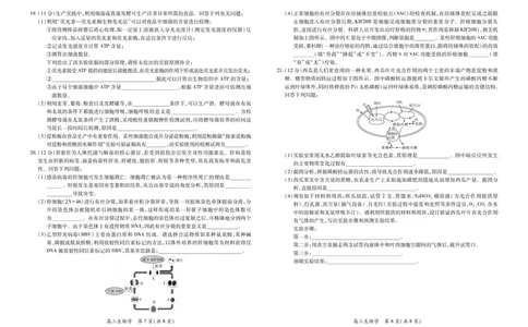 江西省2026届高三10月一轮复习阶段检测生物_2025年10月_251015上进联考&middot;江西省2026届高三10月一轮复习阶段检测（全科）