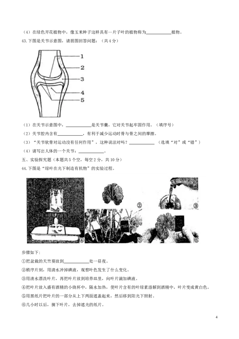黑龙江省绥化市2017年中考生物真题试题（含答案）_中考真题_8.生物中考真题2015-2024年_2017年全国中考生物124份