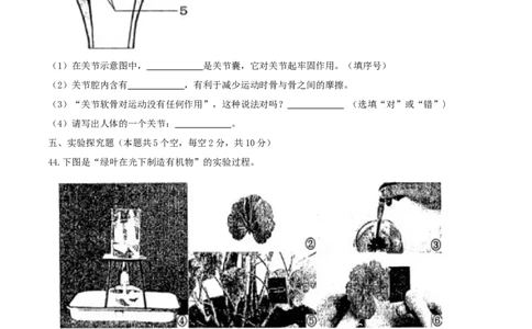 黑龙江省绥化市2017年中考生物真题试题（含答案）_中考真题_8.生物中考真题2015-2024年_2017年全国中考生物124份