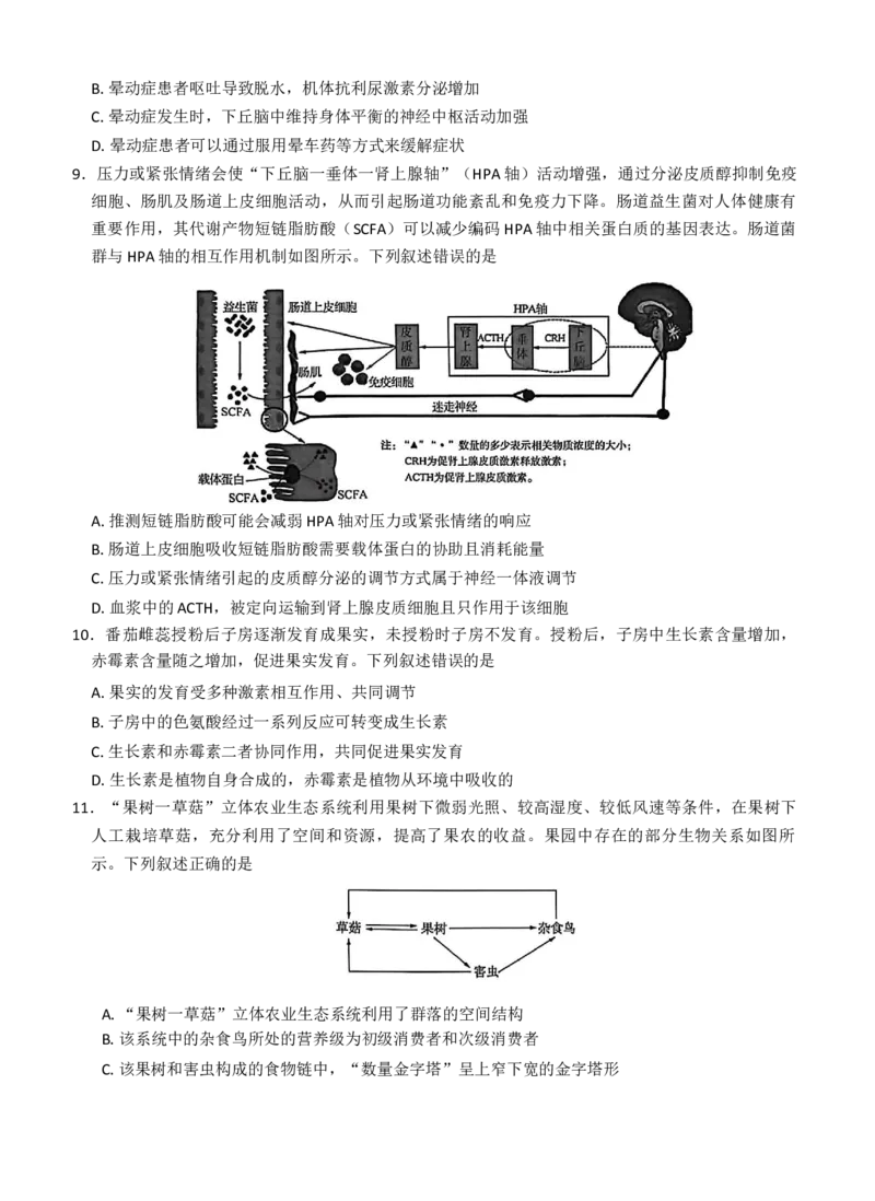 湖北省华大新高考联盟2026届高三上学期11月教学质量测评生物试题_2025年11月_251126湖北省华大新高考联盟2026届高三11月教学质量测评（全科）