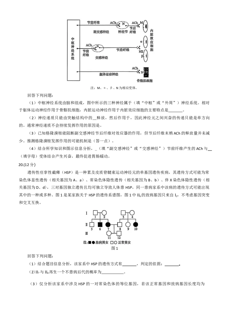 湖北省华大新高考联盟2026届高三上学期11月教学质量测评生物试题_2025年11月_251126湖北省华大新高考联盟2026届高三11月教学质量测评（全科）