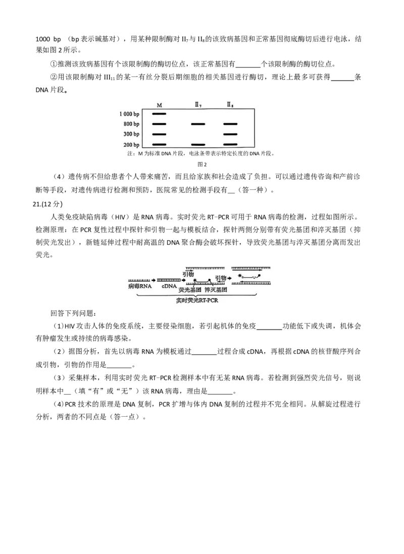 湖北省华大新高考联盟2026届高三上学期11月教学质量测评生物试题_2025年11月_251126湖北省华大新高考联盟2026届高三11月教学质量测评（全科）