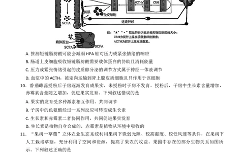 湖北省华大新高考联盟2026届高三上学期11月教学质量测评生物试题_2025年11月_251126湖北省华大新高考联盟2026届高三11月教学质量测评（全科）