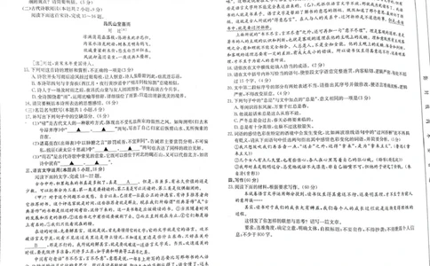 安徽省阜阳市2025届高三上学期教学质量统测语文试卷（含答案）_2025年1月_250110安徽省阜阳市2025届高三上学期教学质量统测（全科）