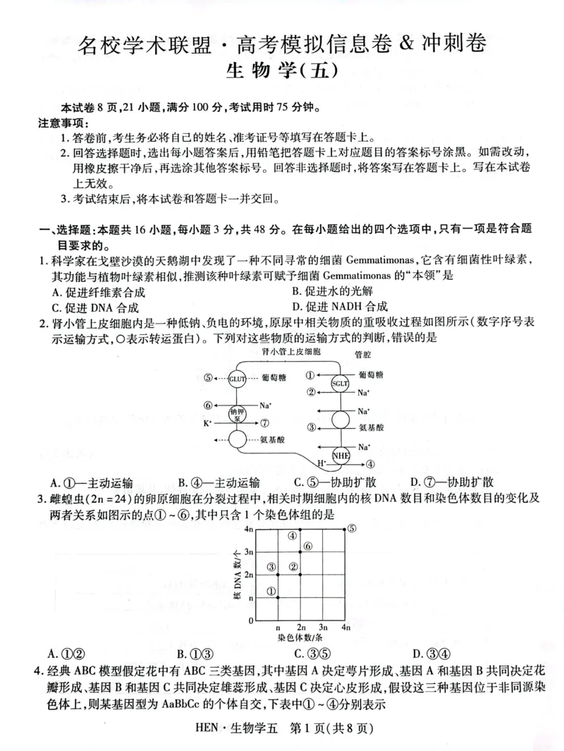 高三生物试卷_2025年3月_250301名校学术联盟&middot;高考模拟信息卷&冲刺卷（五）_河南省名校学术联盟2025届高三下学期模拟冲刺（五）生物学试题