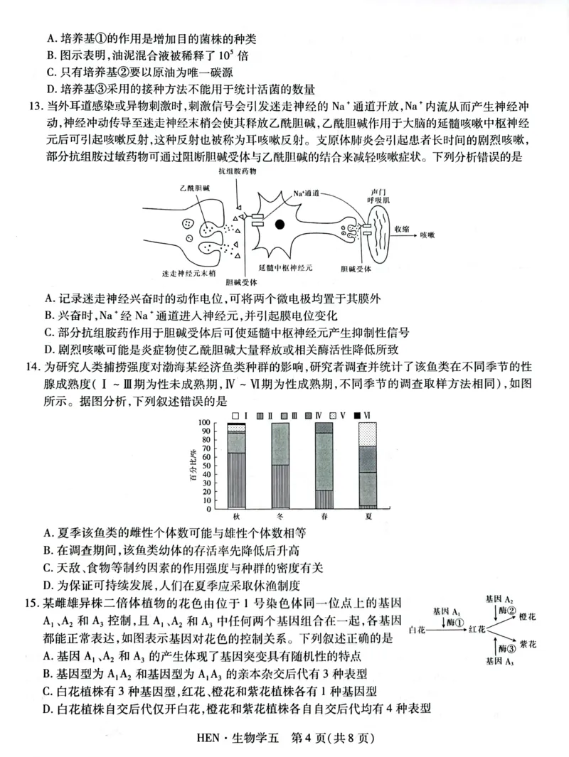 高三生物试卷_2025年3月_250301名校学术联盟&middot;高考模拟信息卷&冲刺卷（五）_河南省名校学术联盟2025届高三下学期模拟冲刺（五）生物学试题