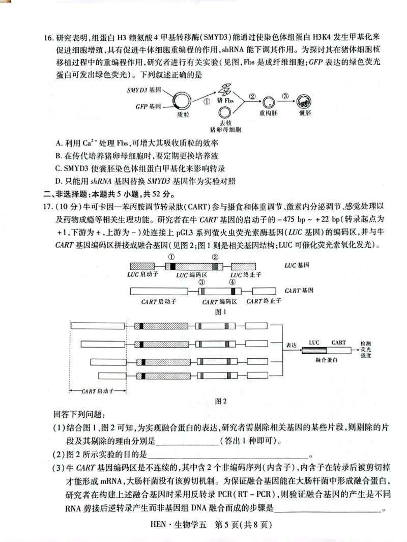 高三生物试卷_2025年3月_250301名校学术联盟&middot;高考模拟信息卷&冲刺卷（五）_河南省名校学术联盟2025届高三下学期模拟冲刺（五）生物学试题