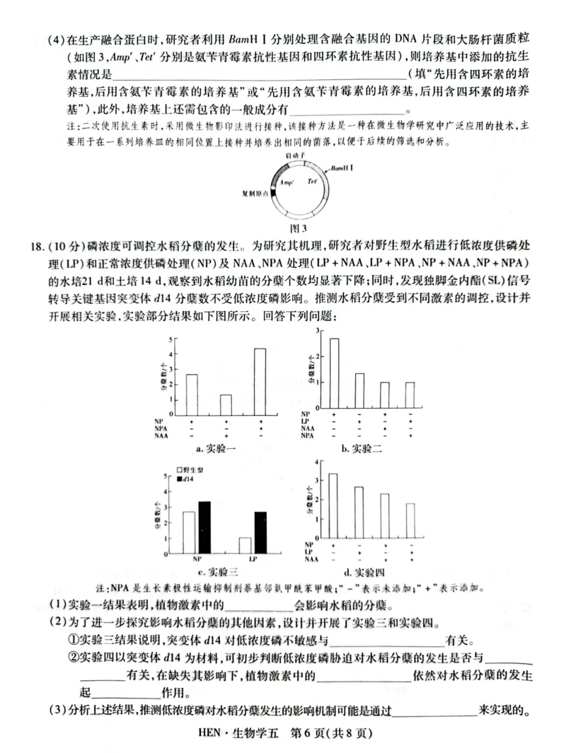 高三生物试卷_2025年3月_250301名校学术联盟&middot;高考模拟信息卷&冲刺卷（五）_河南省名校学术联盟2025届高三下学期模拟冲刺（五）生物学试题