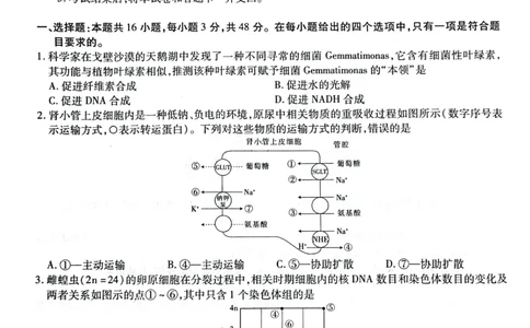 高三生物试卷_2025年3月_250301名校学术联盟&middot;高考模拟信息卷&冲刺卷（五）_河南省名校学术联盟2025届高三下学期模拟冲刺（五）生物学试题