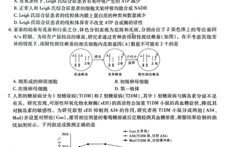 高三生物试卷_2025年3月_250301名校学术联盟&middot;高考模拟信息卷&冲刺卷（五）_河南省名校学术联盟2025届高三下学期模拟冲刺（五）生物学试题