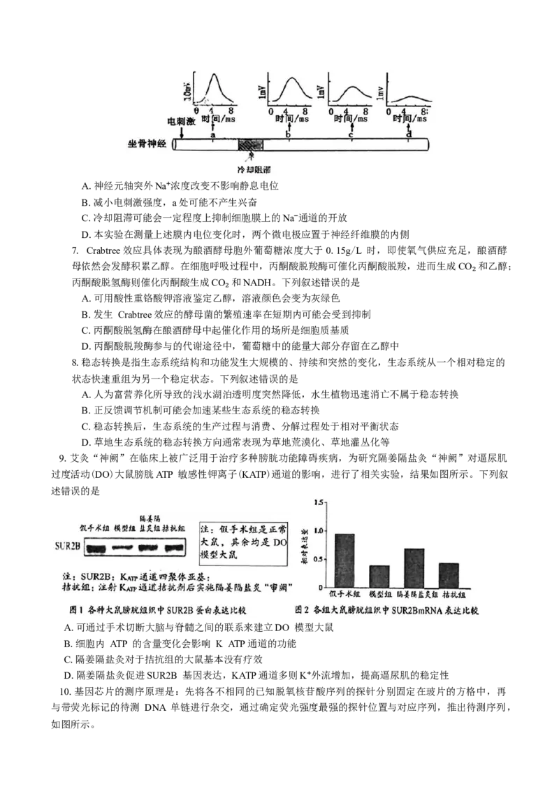 湖南省岳阳市2025届高三下学期教学质量监测（二）生物学试题（含答案）_2025年4月_250417湖南省岳阳市2025届高三教学质量监测（二）（全科）