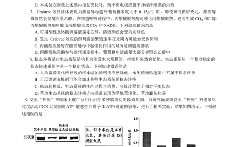 湖南省岳阳市2025届高三下学期教学质量监测（二）生物学试题（含答案）_2025年4月_250417湖南省岳阳市2025届高三教学质量监测（二）（全科）