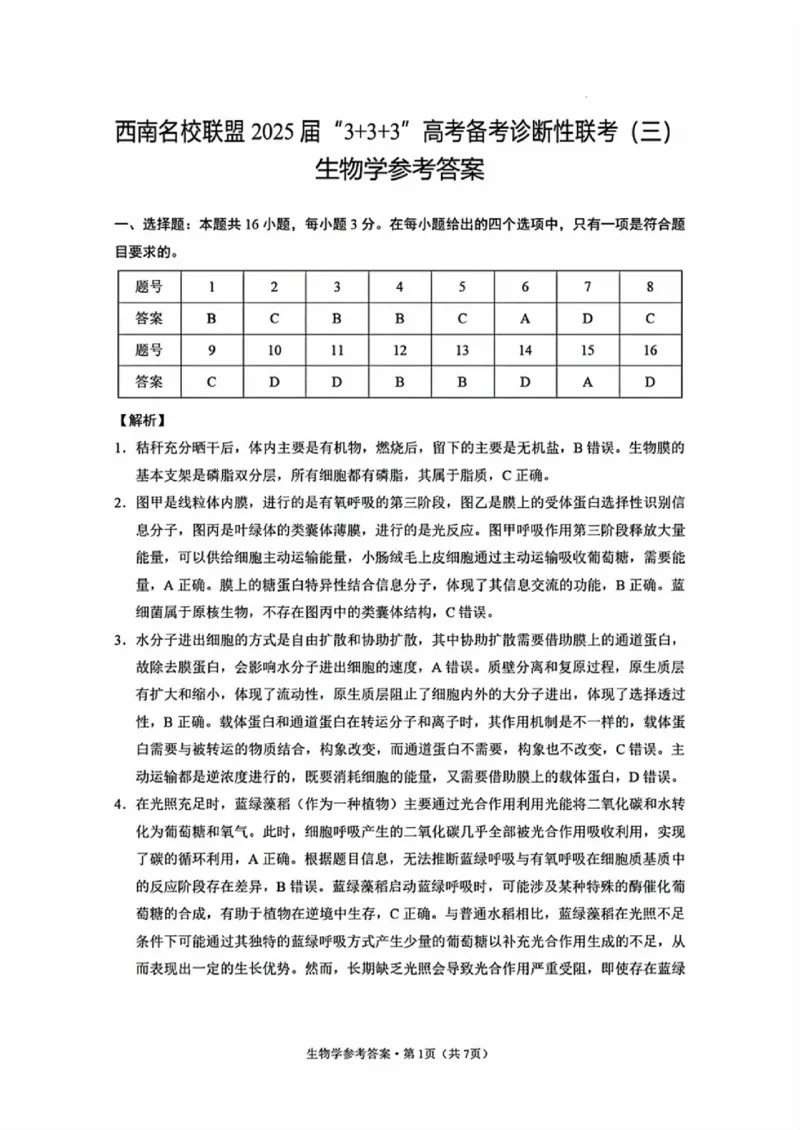西南名校联盟2025届高三下学期&ldquo;3+3+3&rdquo;高考备考诊断性联考（三）生物答案_2025年4月_250422西南名校联盟2025届高三下学期&ldquo;3+3+3&rdquo;高考备考诊断性联考（三）（全科）