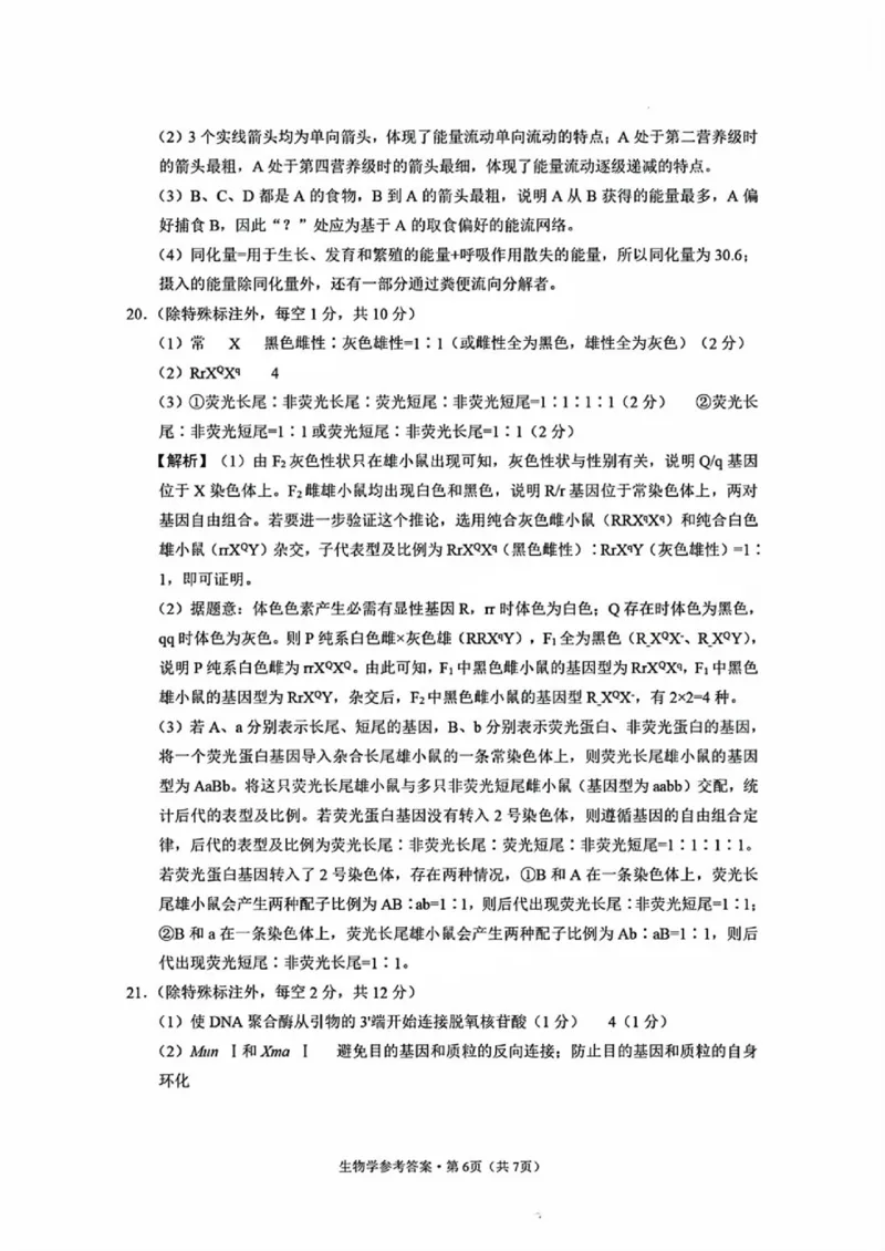 西南名校联盟2025届高三下学期&ldquo;3+3+3&rdquo;高考备考诊断性联考（三）生物答案_2025年4月_250422西南名校联盟2025届高三下学期&ldquo;3+3+3&rdquo;高考备考诊断性联考（三）（全科）