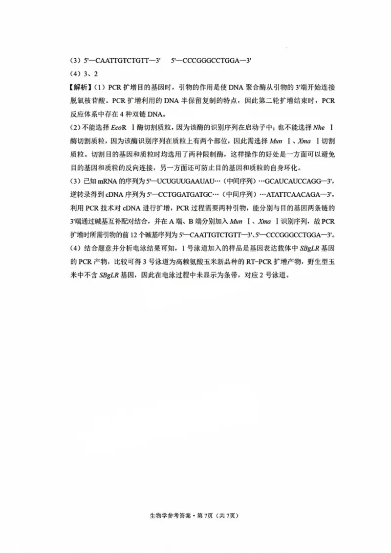 西南名校联盟2025届高三下学期&ldquo;3+3+3&rdquo;高考备考诊断性联考（三）生物答案_2025年4月_250422西南名校联盟2025届高三下学期&ldquo;3+3+3&rdquo;高考备考诊断性联考（三）（全科）