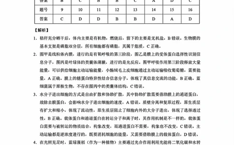 西南名校联盟2025届高三下学期&ldquo;3+3+3&rdquo;高考备考诊断性联考（三）生物答案_2025年4月_250422西南名校联盟2025届高三下学期&ldquo;3+3+3&rdquo;高考备考诊断性联考（三）（全科）