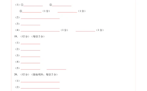 高二化学期中模拟卷（答题卡）A4版(1)_1多考区联考_1014高二期中模拟卷（新高考通用）黄金卷：2024-2025学年高二上学期期中模拟考试