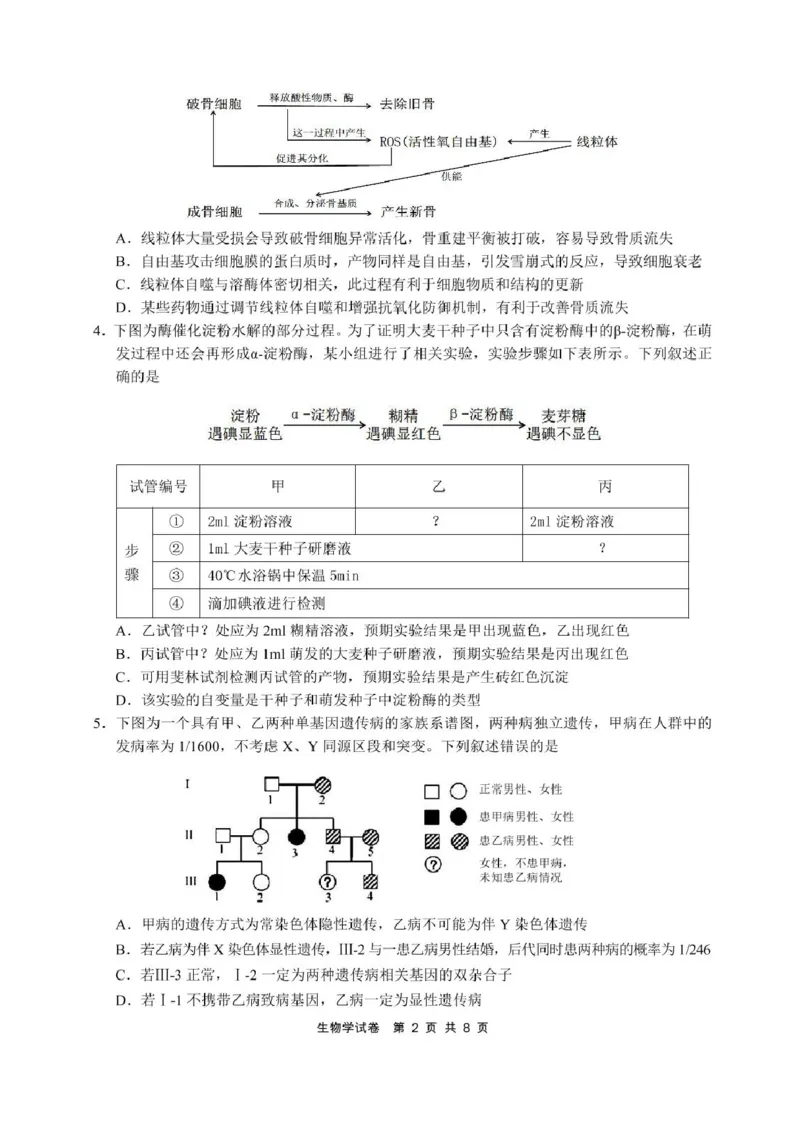 安徽省江南十校2025届高三下学期第一次联考（一模）生物试题+答案_2025年3月_250305安徽省江南十校2025届高三下学期第一次联考（一模）（全科）