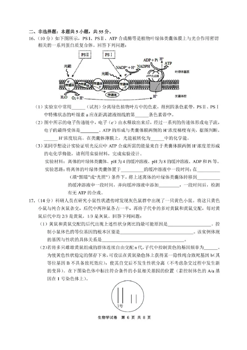 安徽省江南十校2025届高三下学期第一次联考（一模）生物试题+答案_2025年3月_250305安徽省江南十校2025届高三下学期第一次联考（一模）（全科）