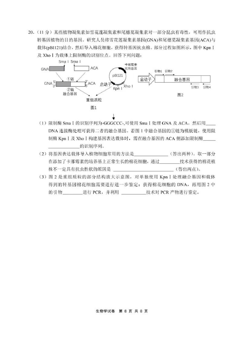 安徽省江南十校2025届高三下学期第一次联考（一模）生物试题+答案_2025年3月_250305安徽省江南十校2025届高三下学期第一次联考（一模）（全科）