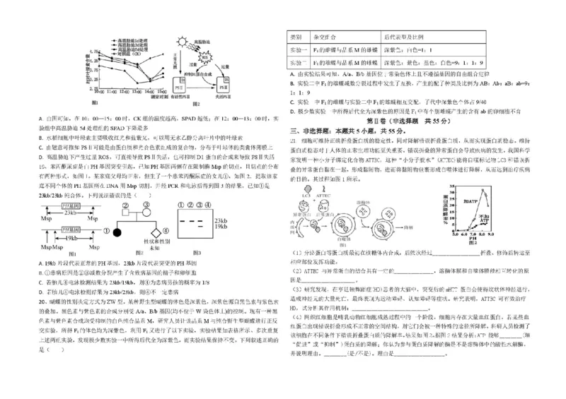 山东省德州市2026届高三上学期9月校际联考（一）生物试卷（含答案）_2025年10月_251002州市2026届高三上学期9月校际联考（一）