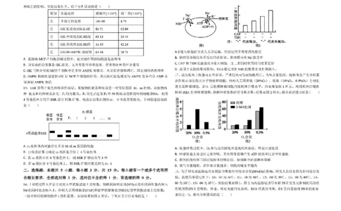 山东省德州市2026届高三上学期9月校际联考（一）生物试卷（含答案）_2025年10月_251002州市2026届高三上学期9月校际联考（一）