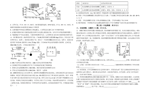 山东省德州市2026届高三上学期9月校际联考（一）生物试卷（含答案）_2025年10月_251002州市2026届高三上学期9月校际联考（一）