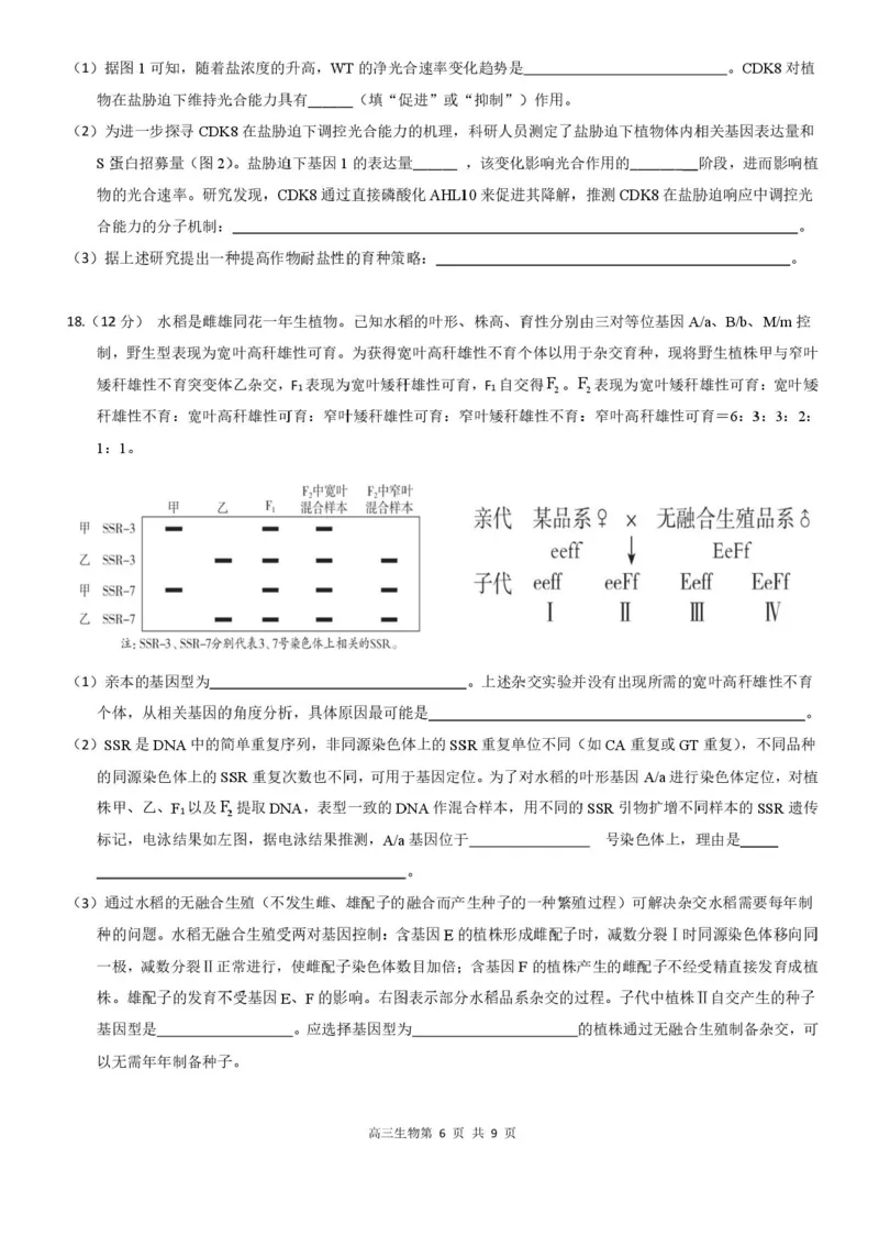 广东省深圳市高级中学高中园2025届高三下学期高考适应性考试生物试题（含答案）_2025年5月_250524广东省深圳市高级中学高中园2025届高三高考适应性考试（全科）