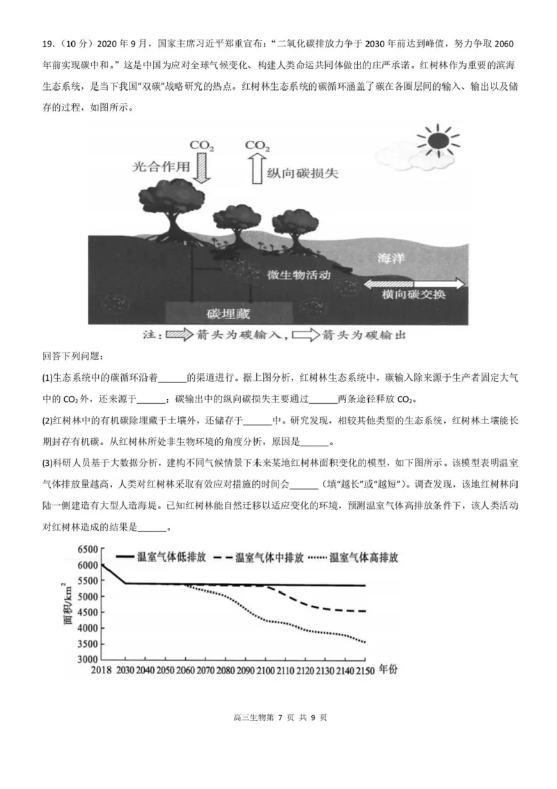 广东省深圳市高级中学高中园2025届高三下学期高考适应性考试生物试题（含答案）_2025年5月_250524广东省深圳市高级中学高中园2025届高三高考适应性考试（全科）
