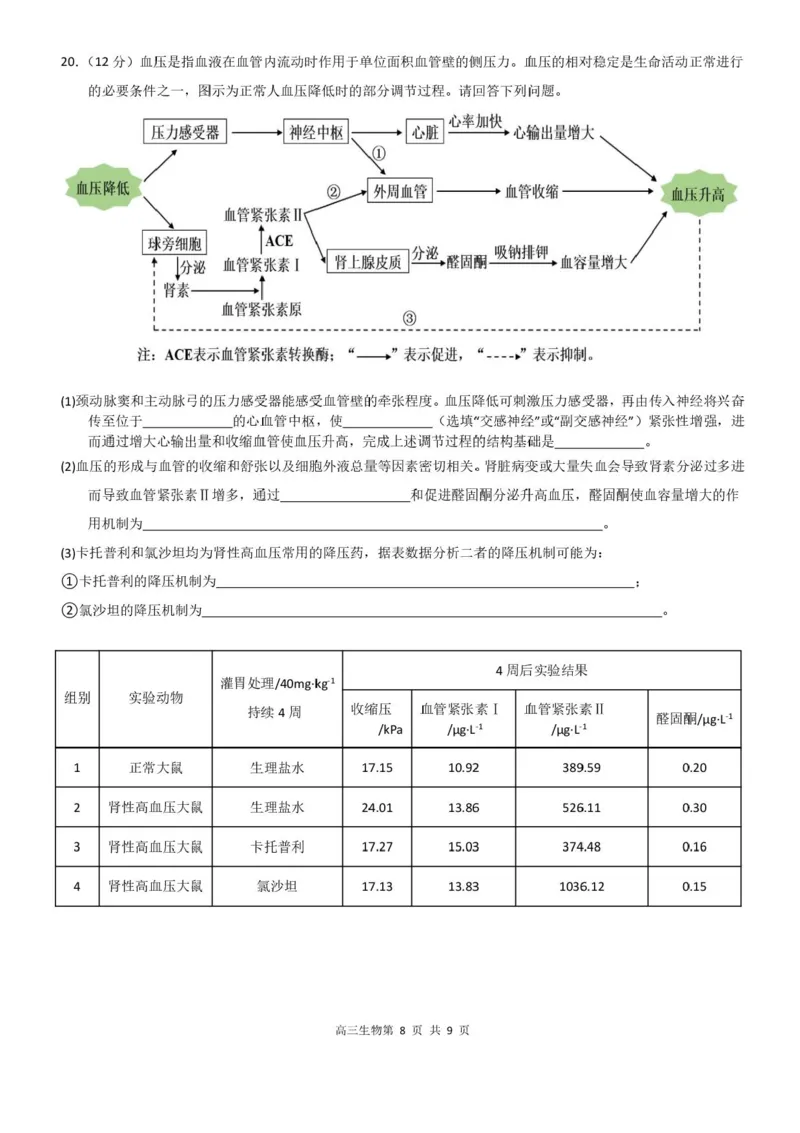 广东省深圳市高级中学高中园2025届高三下学期高考适应性考试生物试题（含答案）_2025年5月_250524广东省深圳市高级中学高中园2025届高三高考适应性考试（全科）
