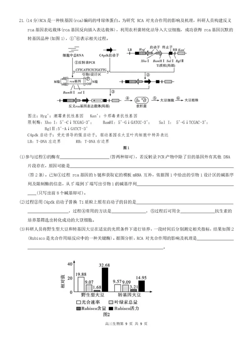 广东省深圳市高级中学高中园2025届高三下学期高考适应性考试生物试题（含答案）_2025年5月_250524广东省深圳市高级中学高中园2025届高三高考适应性考试（全科）