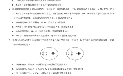广东省深圳市高级中学高中园2025届高三下学期高考适应性考试生物试题（含答案）_2025年5月_250524广东省深圳市高级中学高中园2025届高三高考适应性考试（全科）
