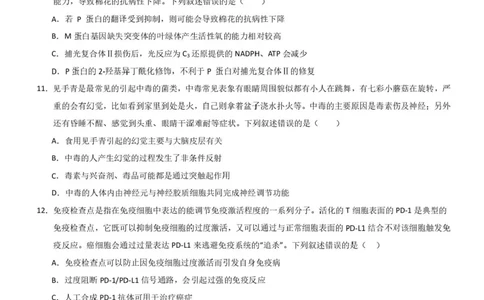广东省深圳市高级中学高中园2025届高三下学期高考适应性考试生物试题（含答案）_2025年5月_250524广东省深圳市高级中学高中园2025届高三高考适应性考试（全科）