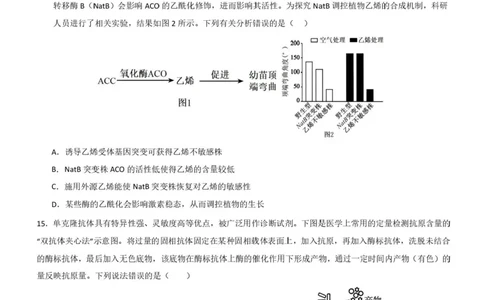 广东省深圳市高级中学高中园2025届高三下学期高考适应性考试生物试题（含答案）_2025年5月_250524广东省深圳市高级中学高中园2025届高三高考适应性考试（全科）