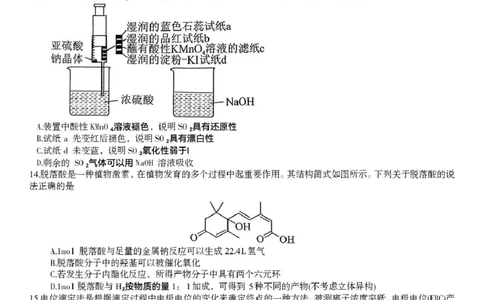 广东省六校联盟2026届高三上学期第一次联考化学试题_2025年8月_250809广东六校联盟2026届高三第一次联考