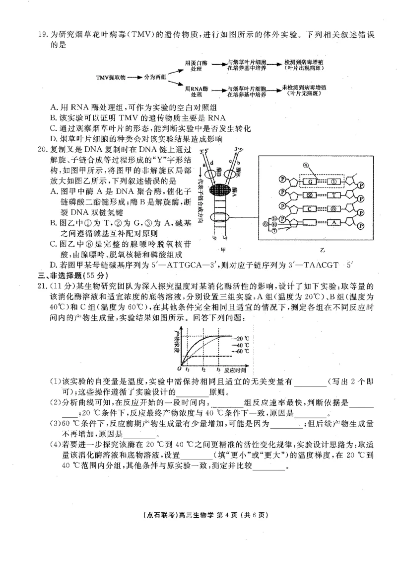 生物试卷-辽宁点石联考2025-2026学年高三10月联合考试_2025年10月_251012辽宁省点石联考2025-2026学年度上学期高三10月份联合考试（全科）_辽宁点石联考2025-2026学年高三10月联合考试生物