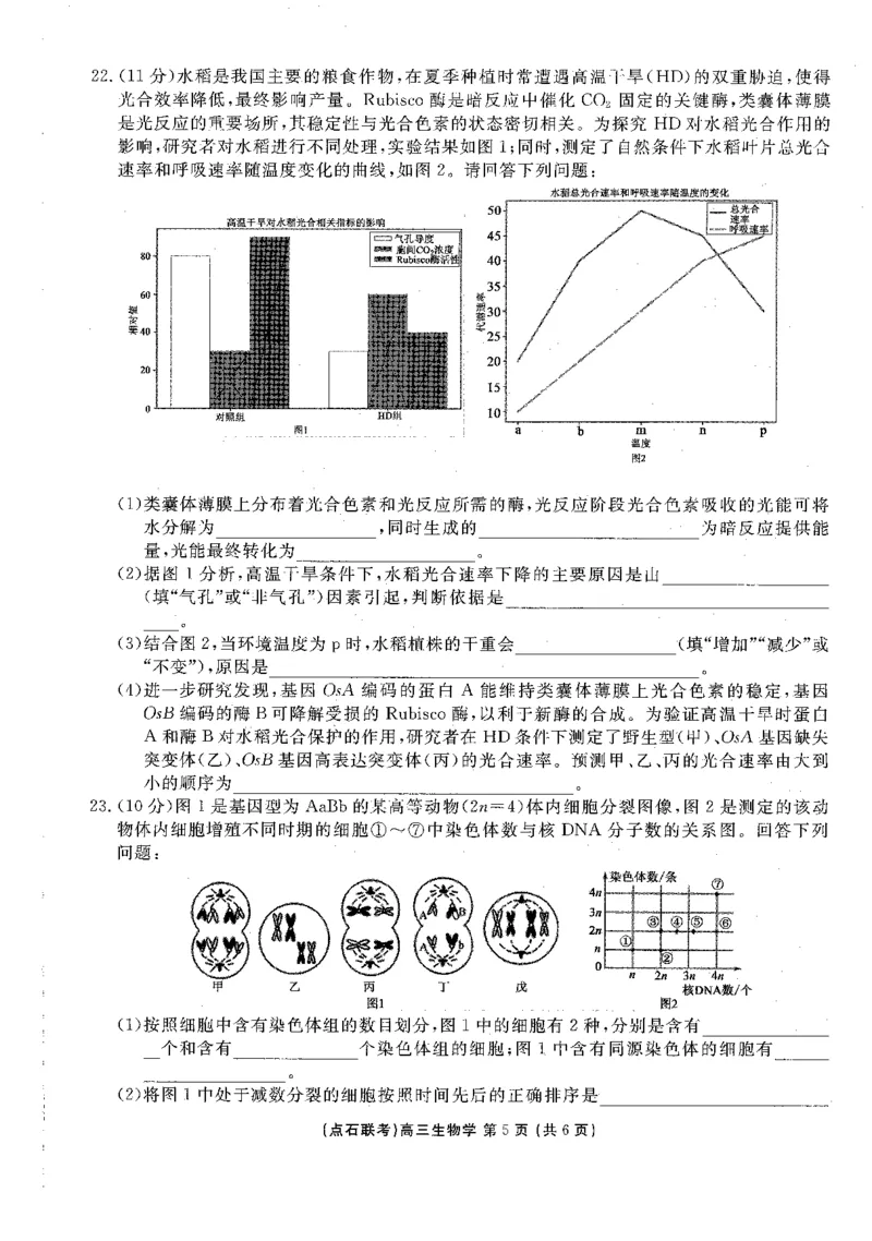 生物试卷-辽宁点石联考2025-2026学年高三10月联合考试_2025年10月_251012辽宁省点石联考2025-2026学年度上学期高三10月份联合考试（全科）_辽宁点石联考2025-2026学年高三10月联合考试生物